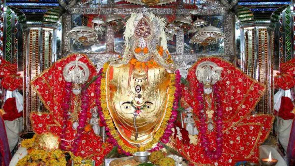 ranthambore tiger national park