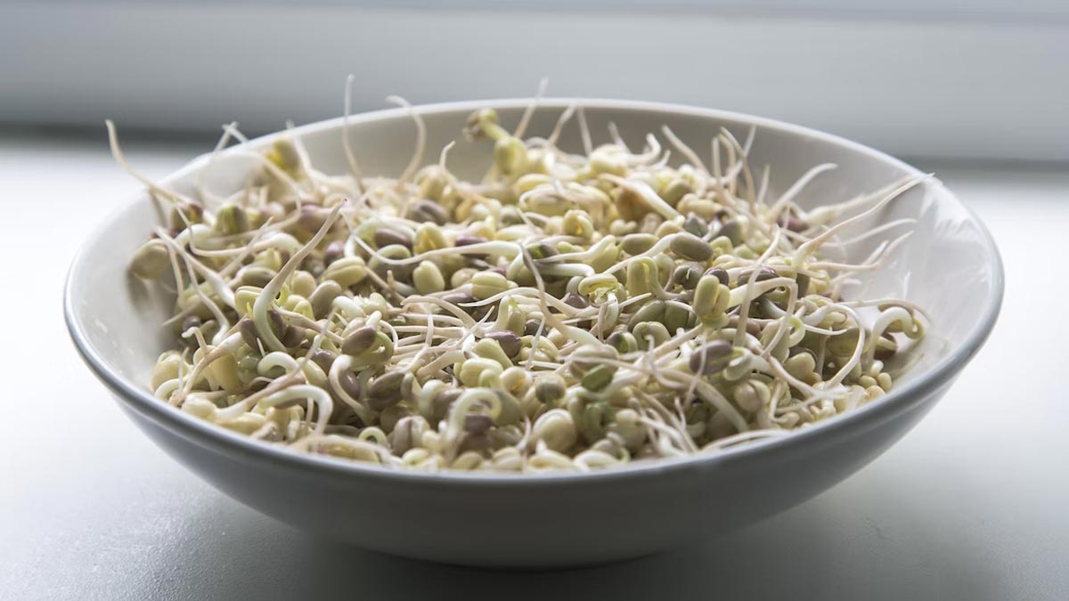 sprouts improve digestion