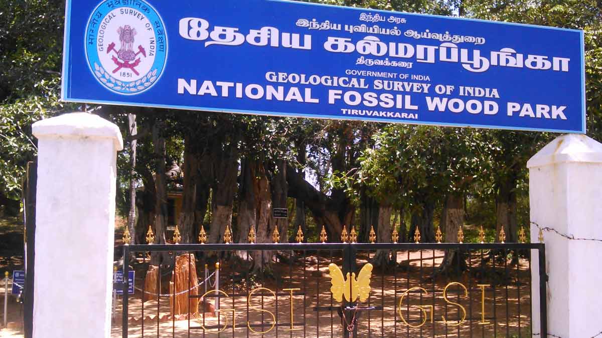 Fossil Park In India भारत में मौजूद फॉसिल पार्क Bharat Me Maujud