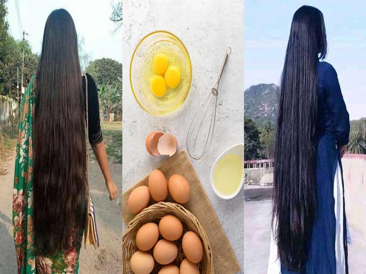 Long Hair| लंबे बाल के लिए अंडा| Baalon Par Anda Lagane Ke Fayade | how to  use egg for hair growth | HerZindagi