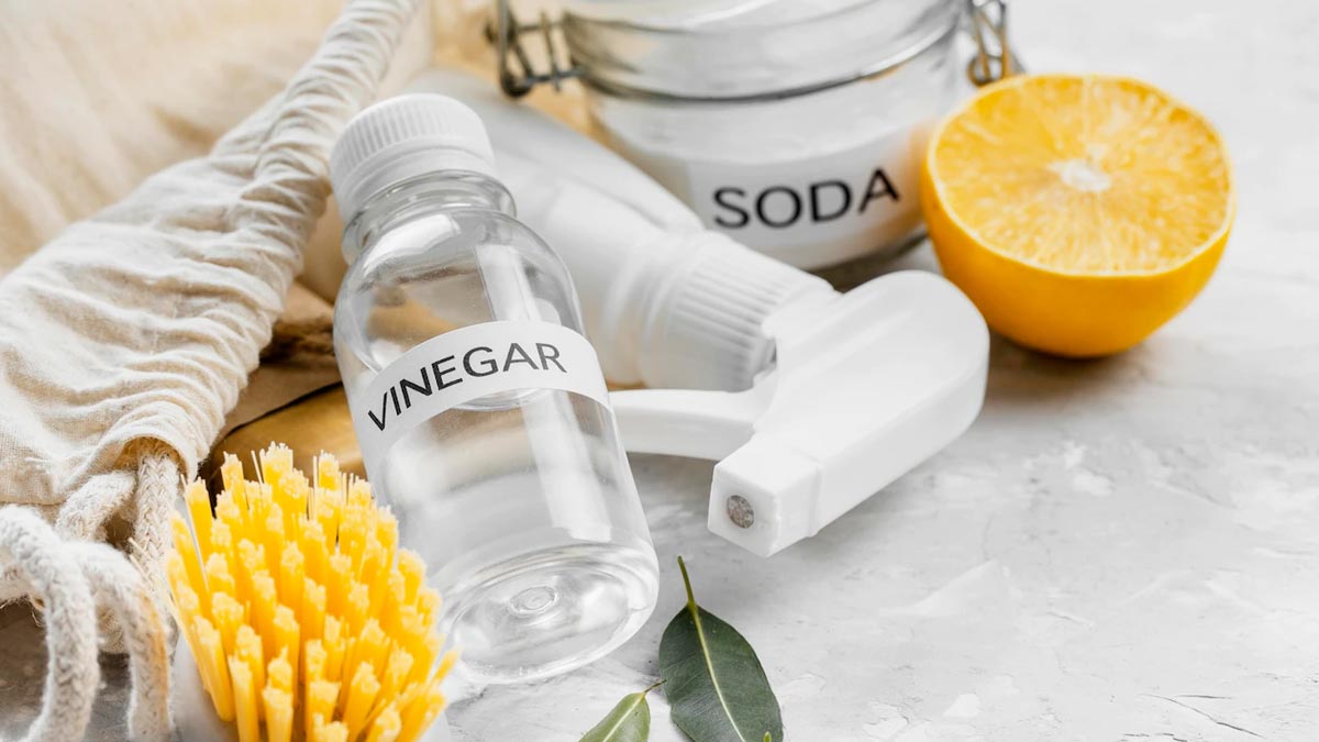 vinegar for cockroaches