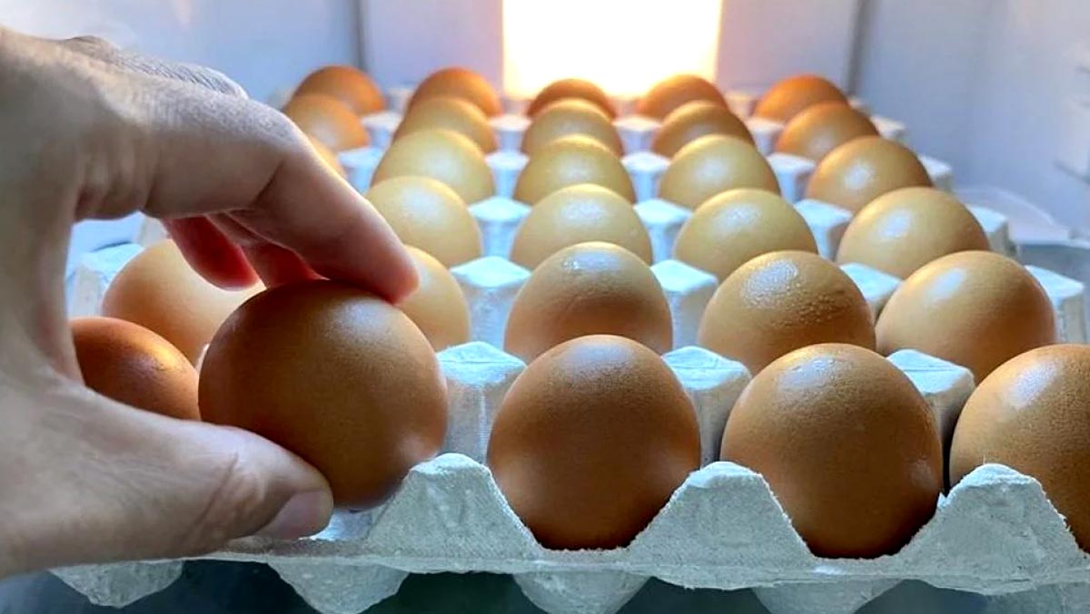 Egg storing hacks