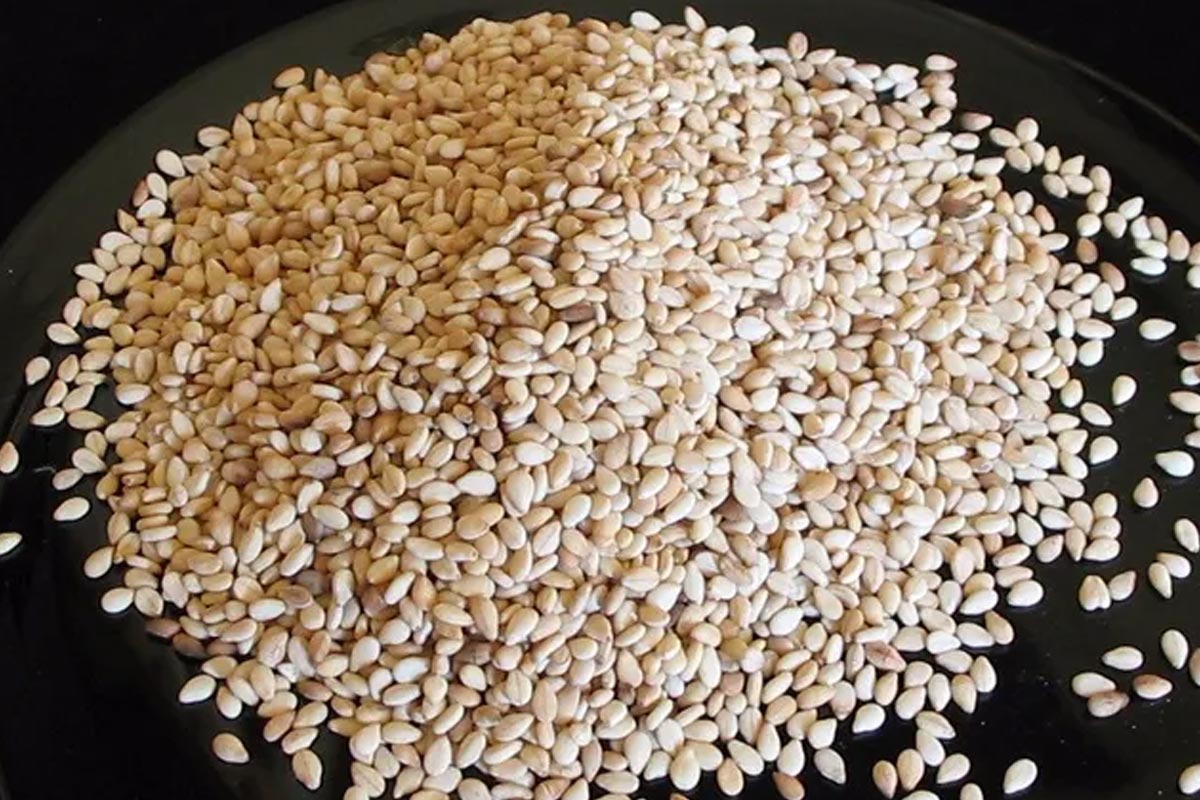 sesame-seeds-wash-white-sesame-washing-tips