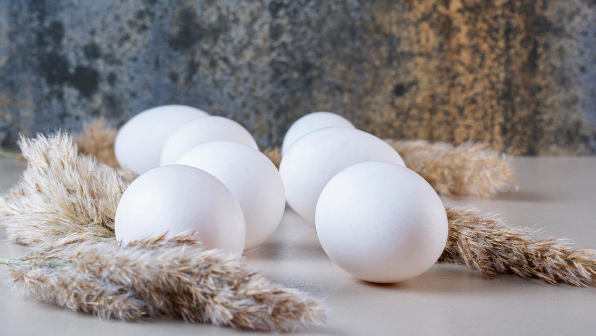 Egg Hacks अंडे से जुड़े हैक्स Egg Ko Kaise Store Kare how to