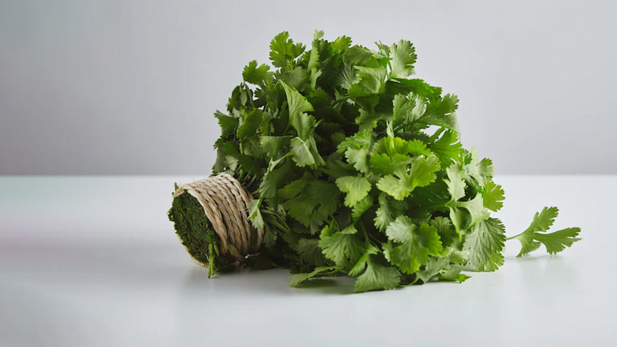 How to use cilantro at home