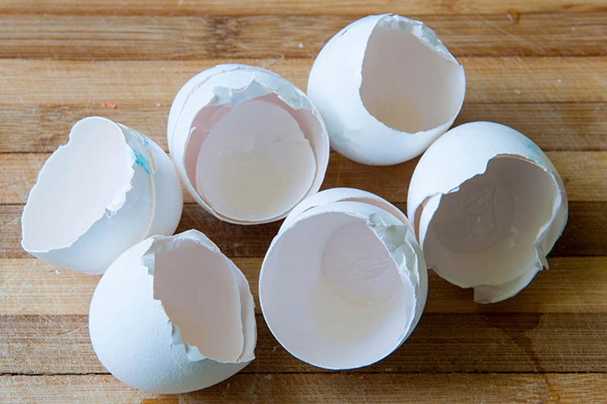 How to use eggshells for sharpen mixer