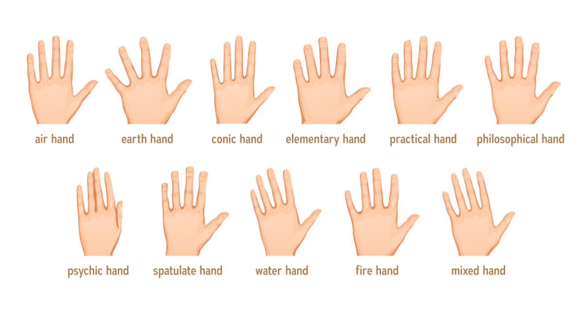 Palm Shape Palmistry