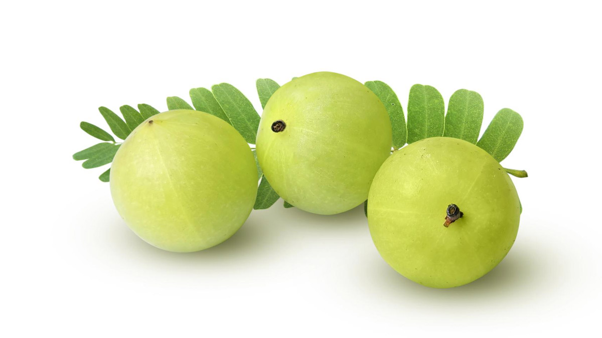 amla for weight loss