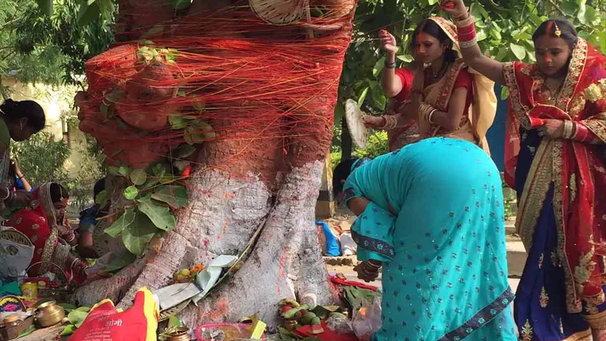banyan tree astro remedies for job