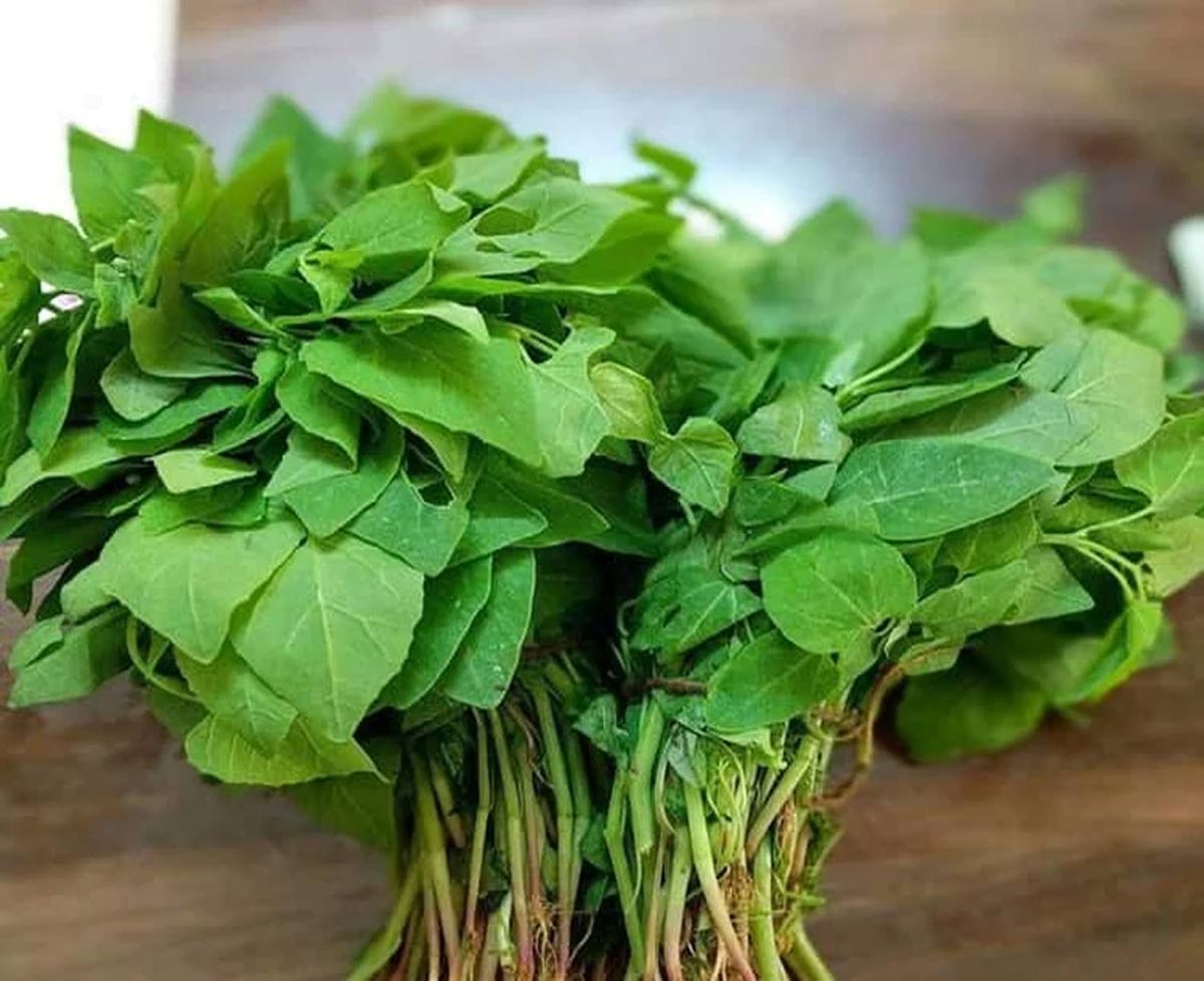 bathua purchase in hindi