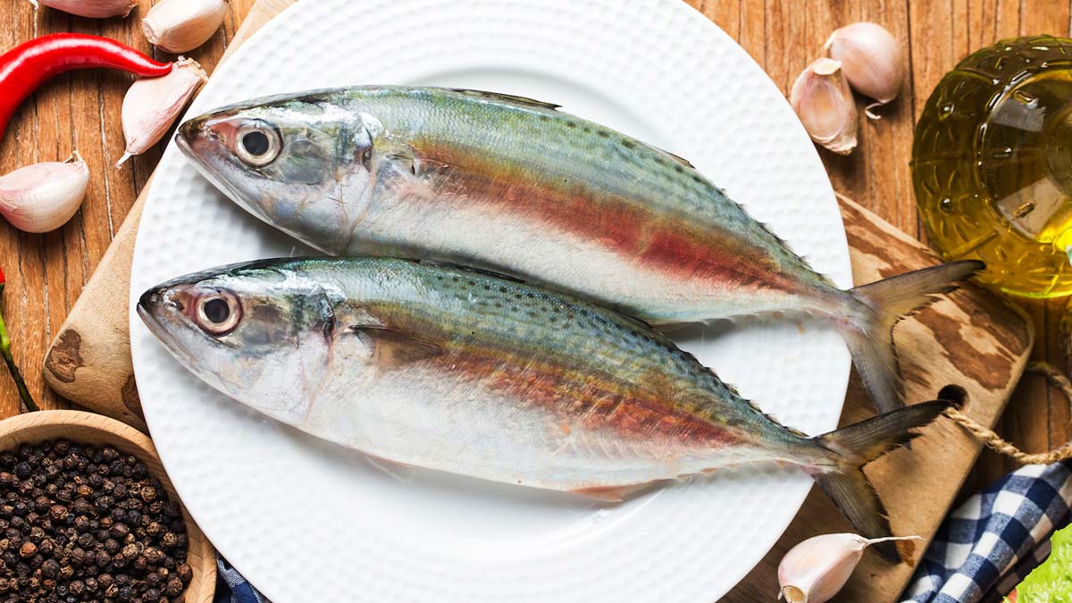 best food for weight loss