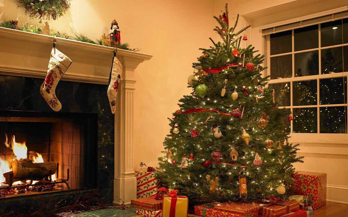 christmas-tree-interesting-facts-2022-about-christmas-tree-in-hindi