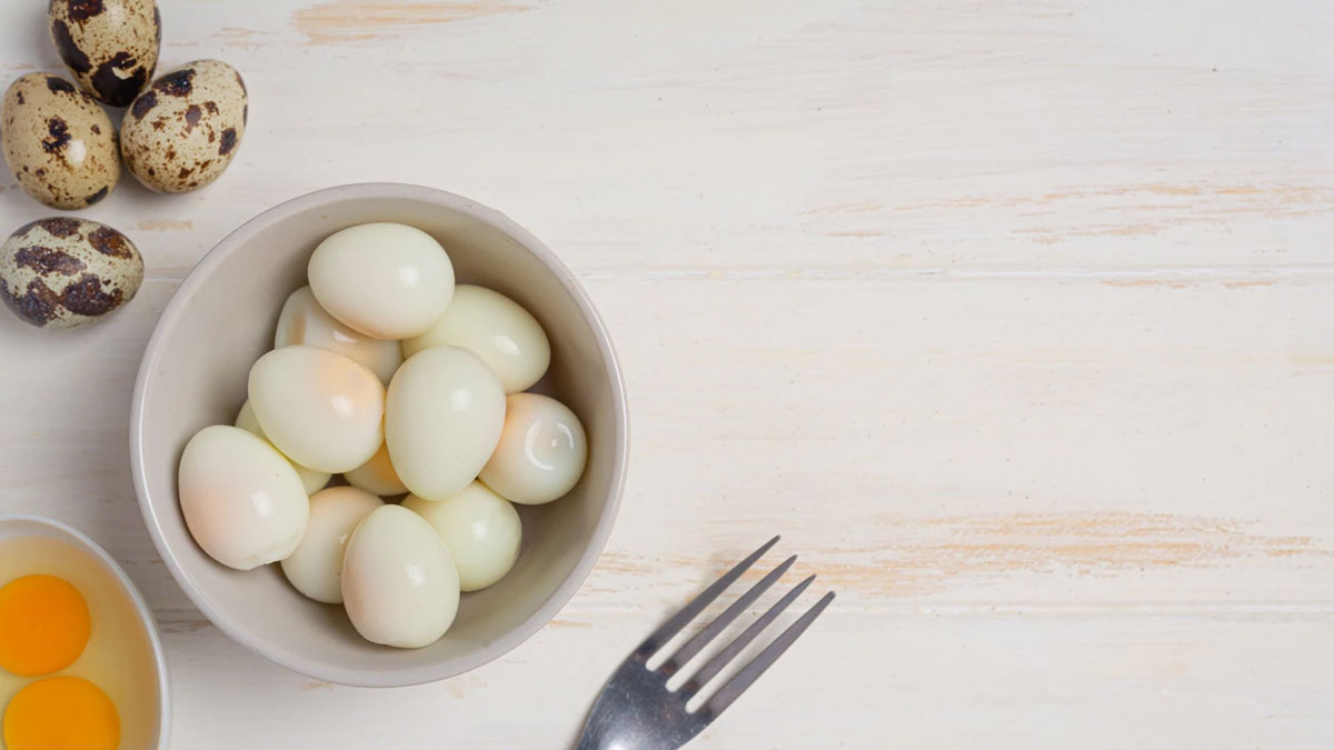 diet plan for weight loss