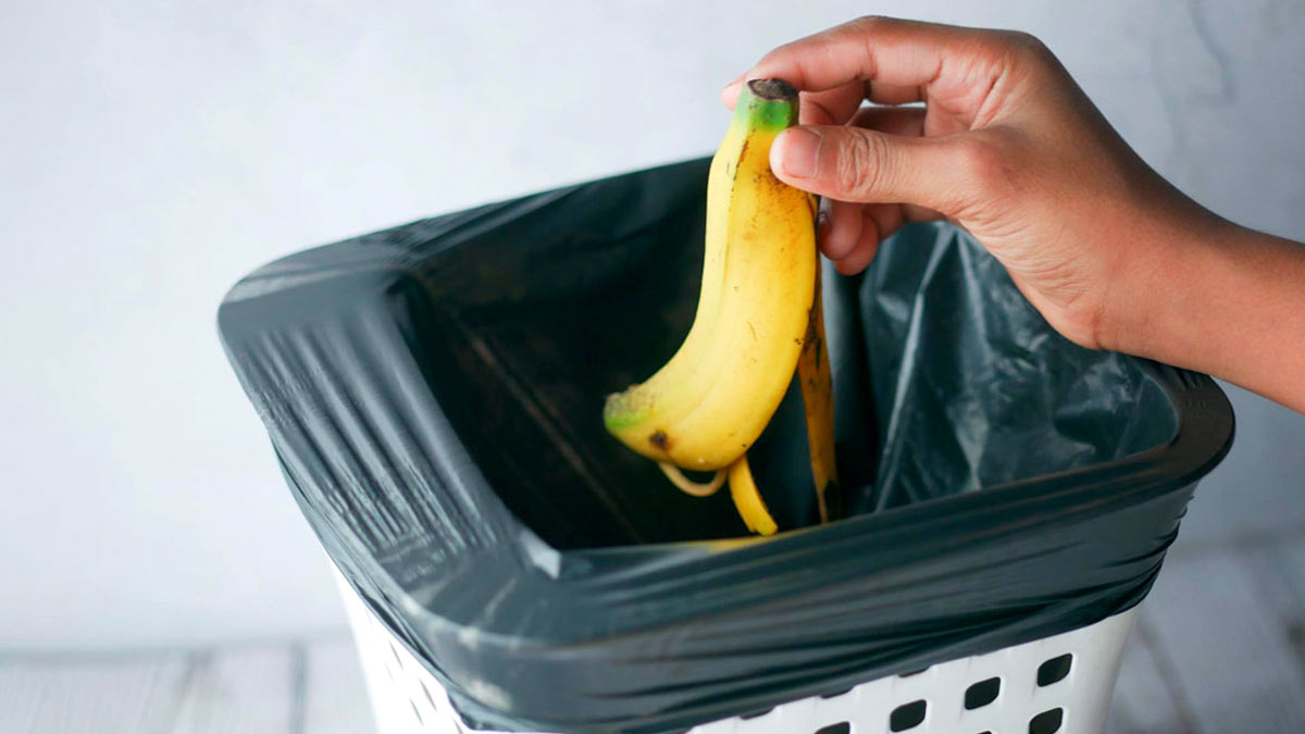 डस्टबिन की बदबू कैसे दूर करें। Hacks to Remove Dustbin Smell। Home