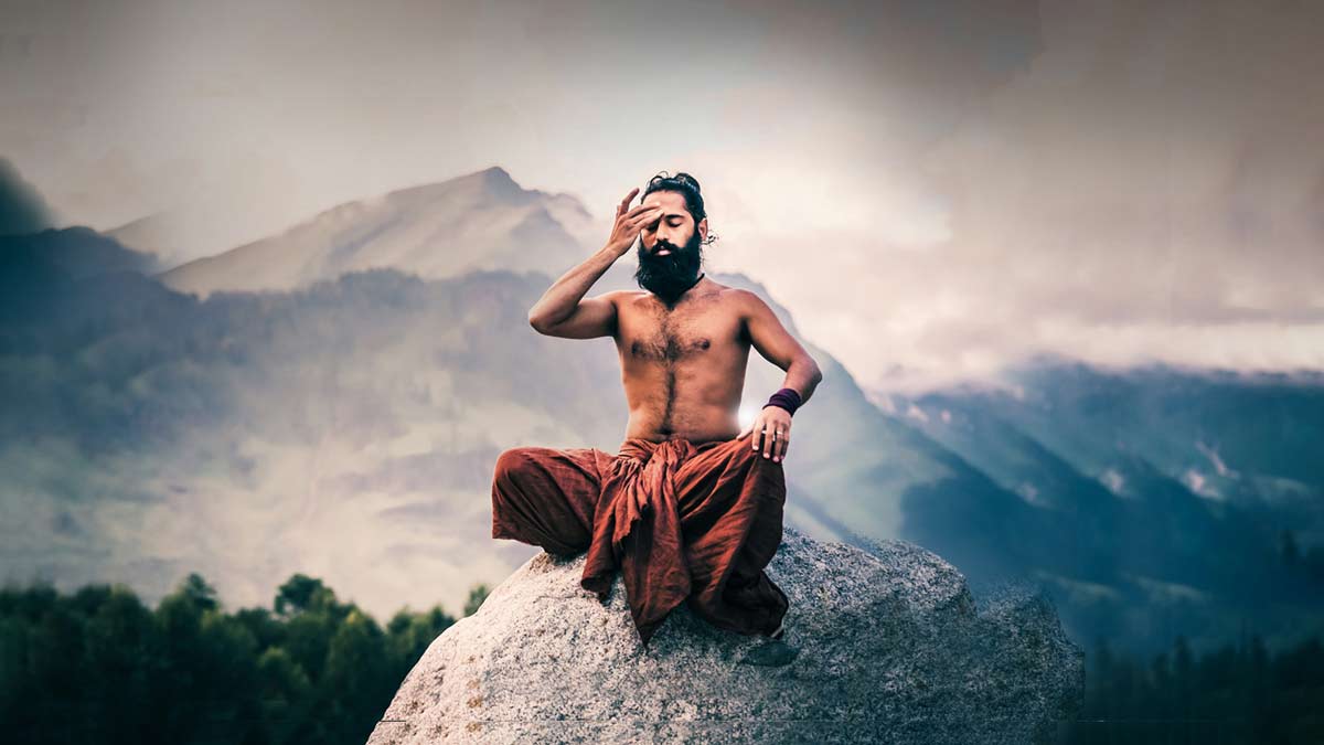 expert yoga for health hindi