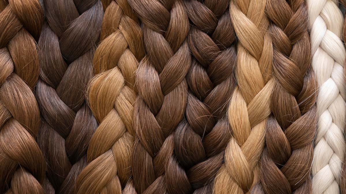 extension hair models