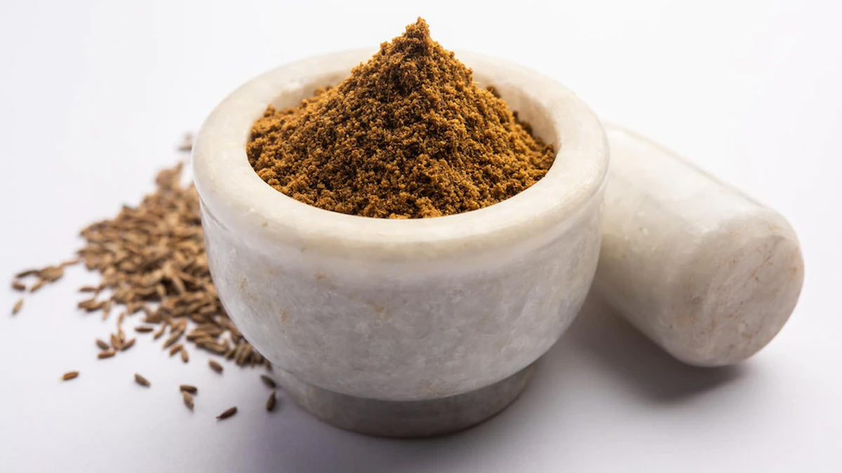 garam masala instead of coriander powder