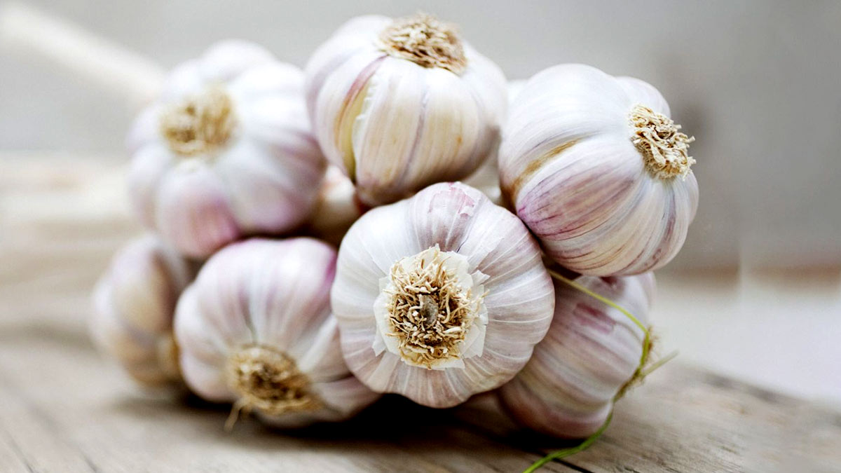 garlic For success