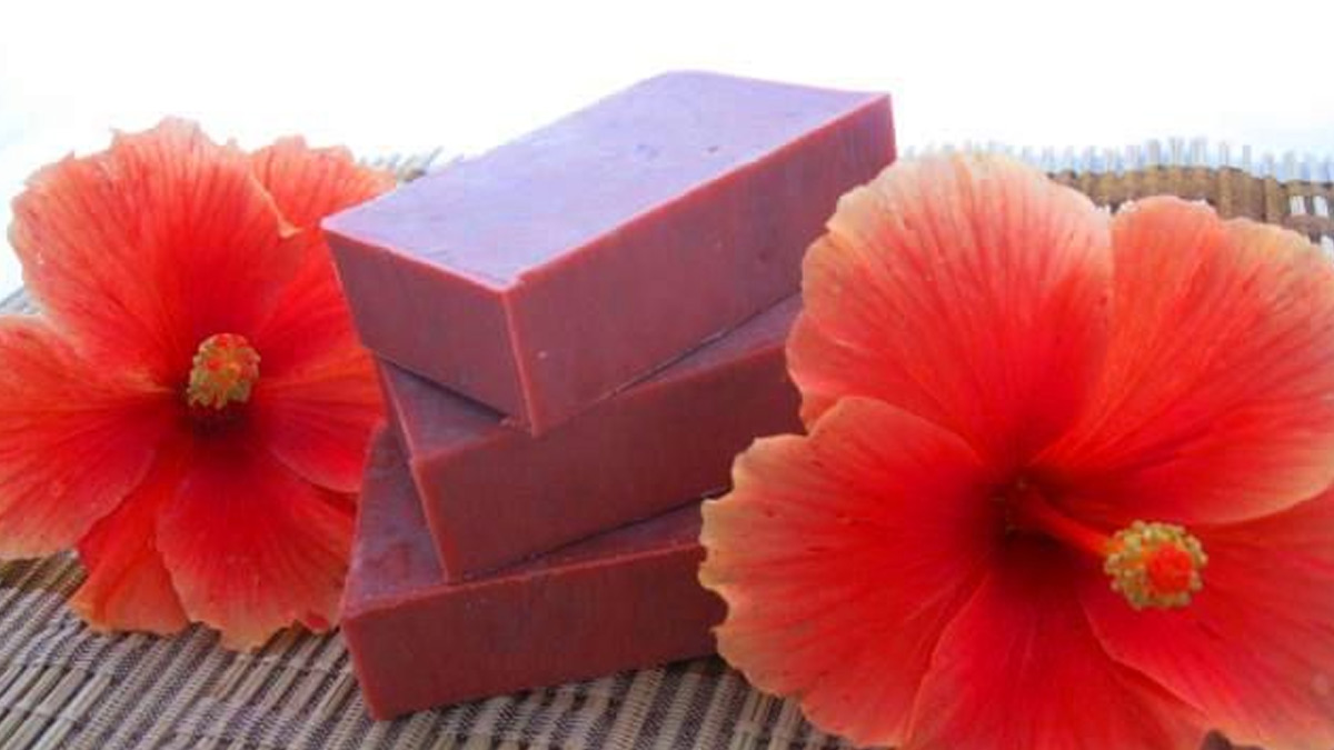 How To Make Homemade Soapगुड़हल के फूल को चेहरे पर लगाने से क्या होता