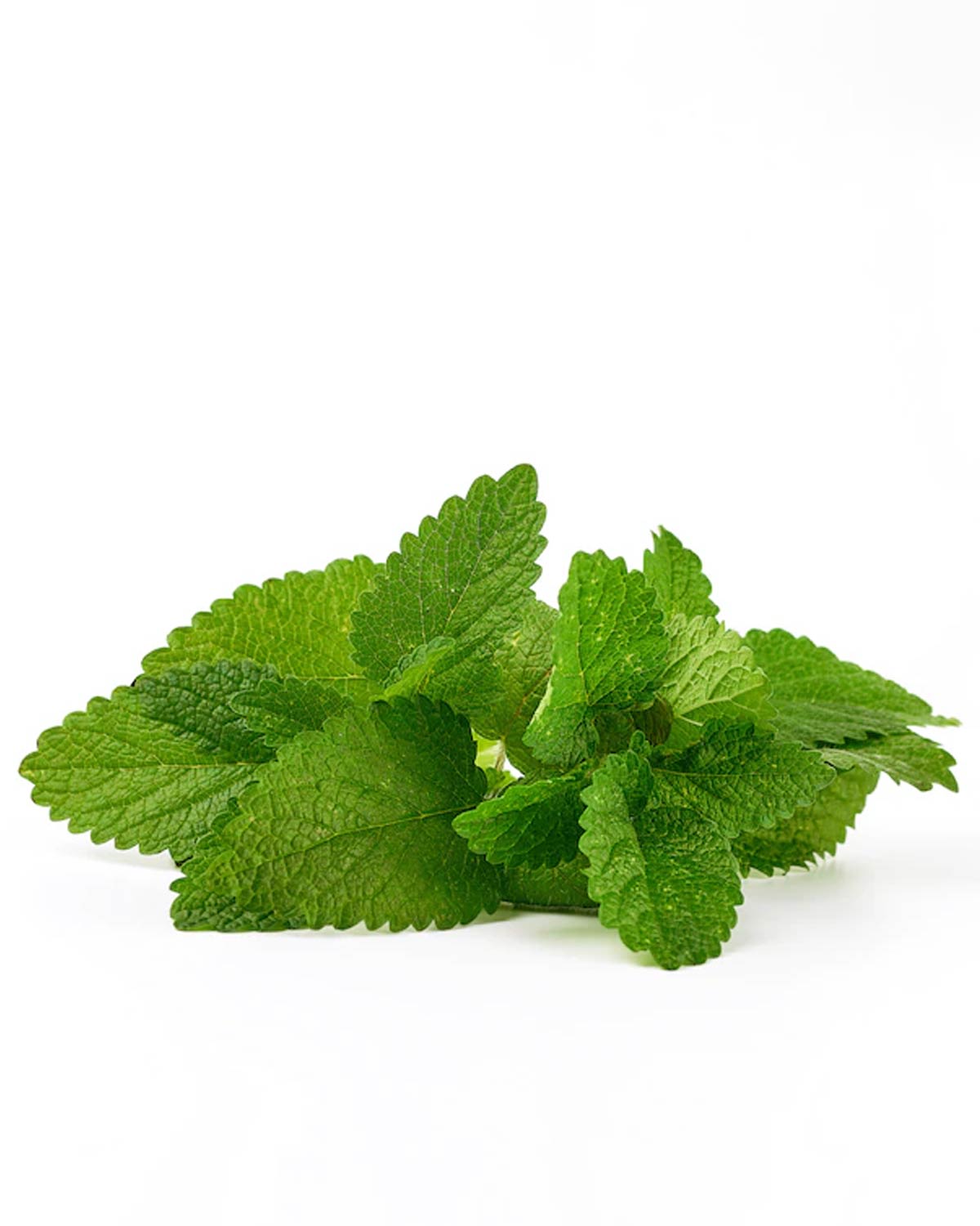 how to use neem leaves in pani puri water