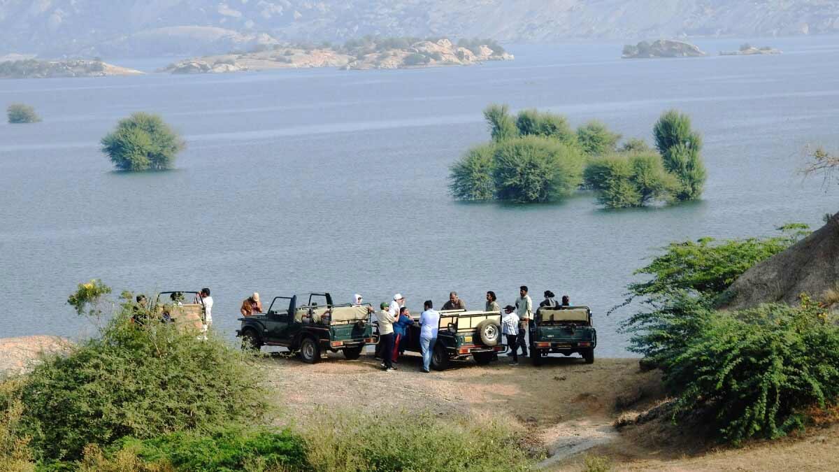 10 BEST Things to do in Jawai, Rajasthan