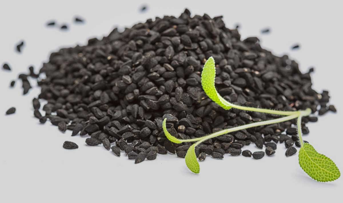 Kalonji And Onion Seedsकलौंजी और प्याज के बीज में अंतरBeejo Mein