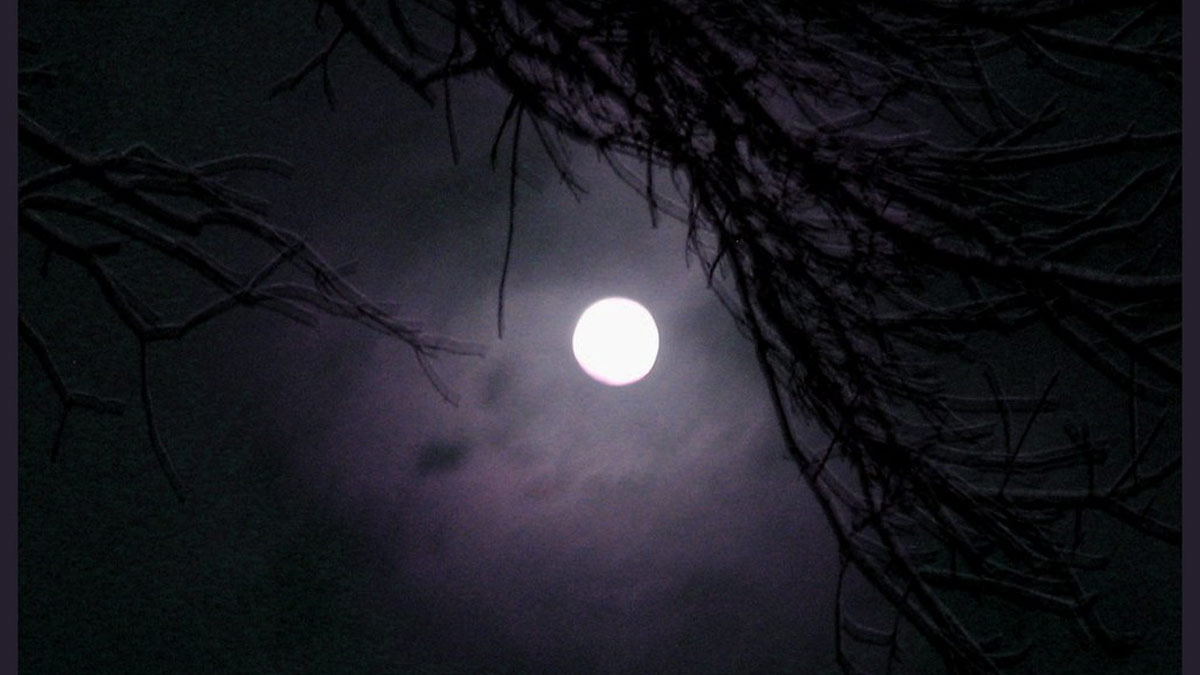 longest night of year 