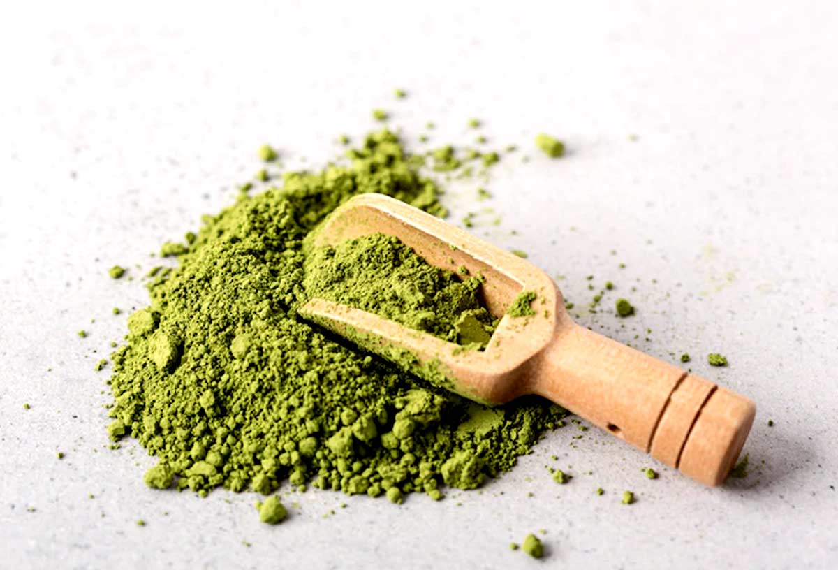 moringa powder