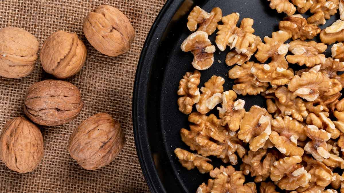 Arslanbob Walnut Forestसबसे ज्यादा अखरोट कहां उगते हैंForest Jaha