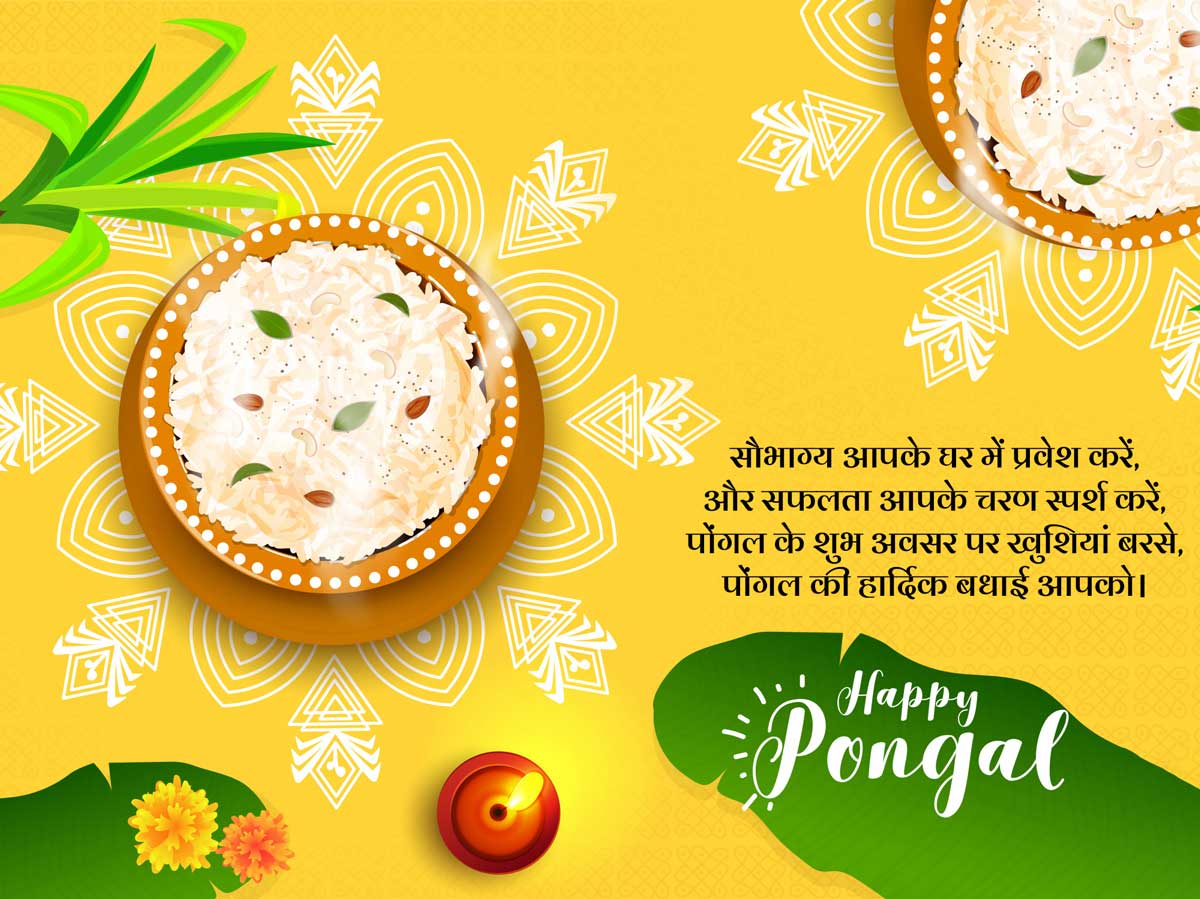 pongal wishes quotes facebook messages