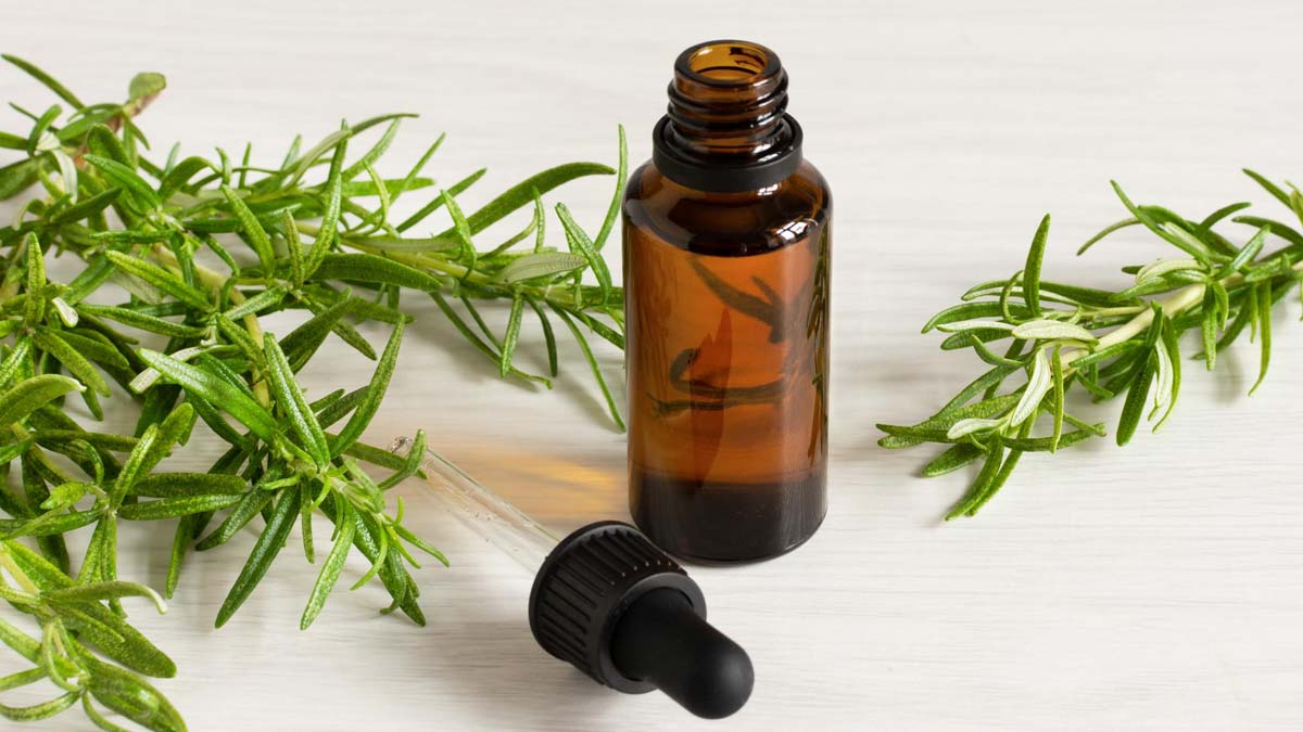Rosemary Essential Oil  Benefits of Using Rosemary Essential  Oils For  Hair  HerZindagi
