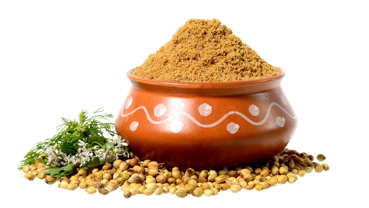 Coriander Substituteधनिया पाउडर की जगह क्या इस्तेमाल इस्तेमालMasalon