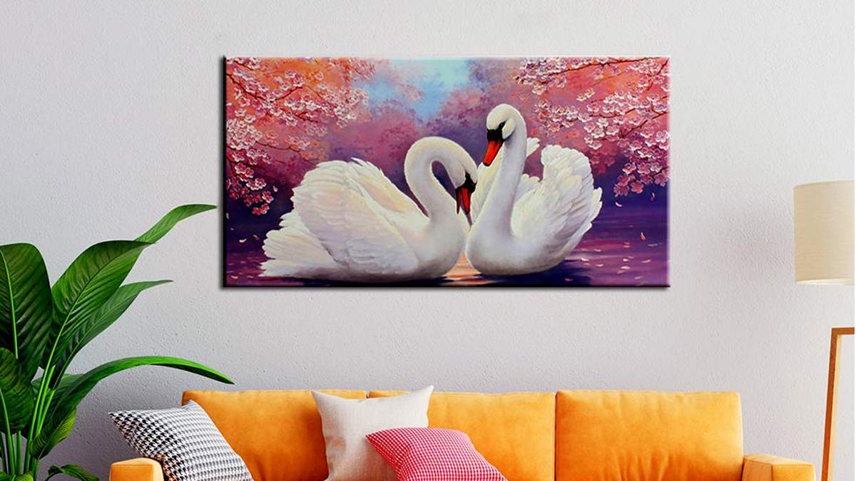 swan photo at home