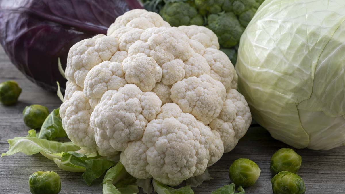 Uses of Cauliflower Leaves फूलगोभी के पत्ते Cauliflower Leaves Ko