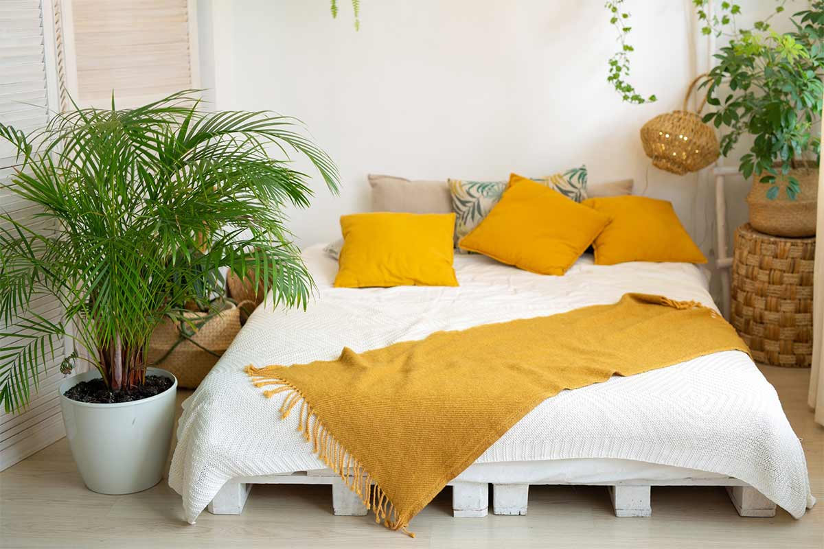 5-lucky-plants-bedroom-ke-liye-plants