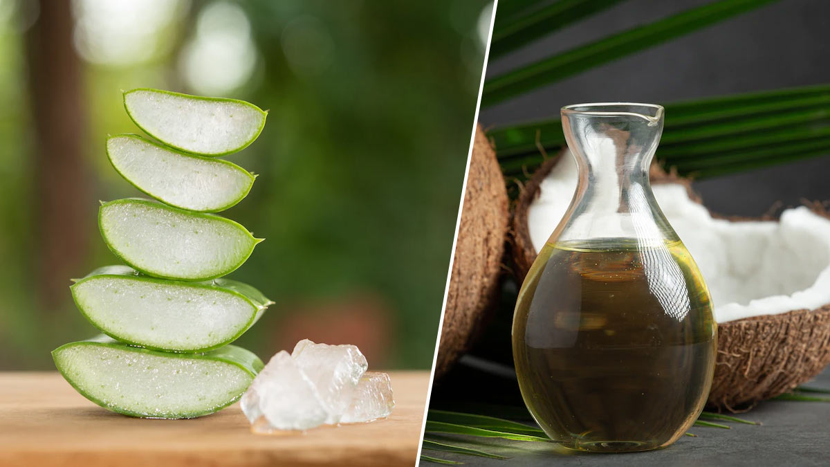 Aloe Vera Gel and Coconut Oil for White Hair | கற்றாழை தேங்காய் எண்ணெய் |  aloe vera gel and coconut oil for white hair | HerZindagi Tamil