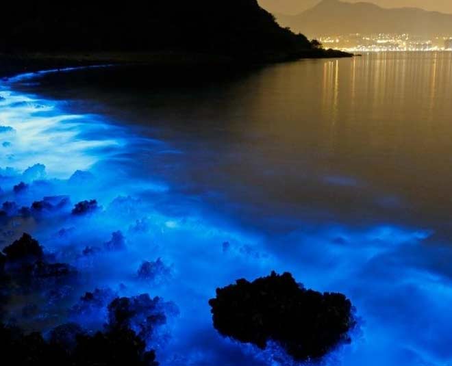 These Places In India 'glow In The Dark,' Take A Look At These Majestic 