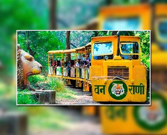 संजय गांधी नेशनल पार्क best places to visit in mumbai with children inside