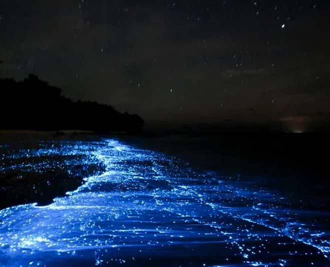 These Places In India 'Glow In The Dark,' Take A Look At These Majestic ...