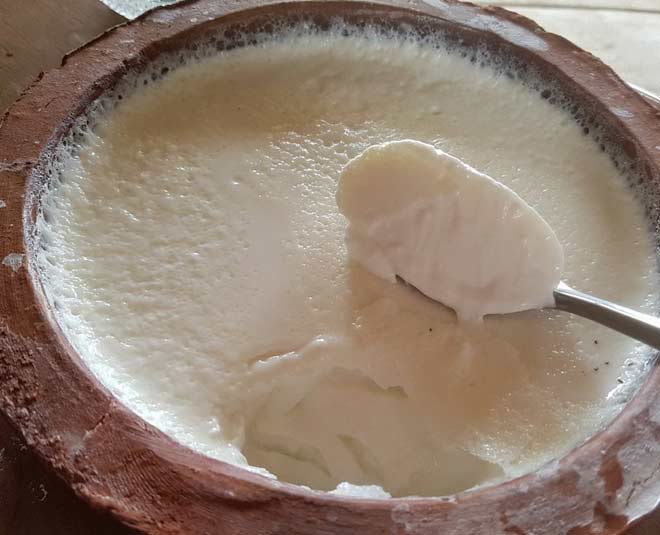 curd in clay pot benefits hindi