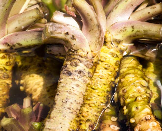 expensive vegetables