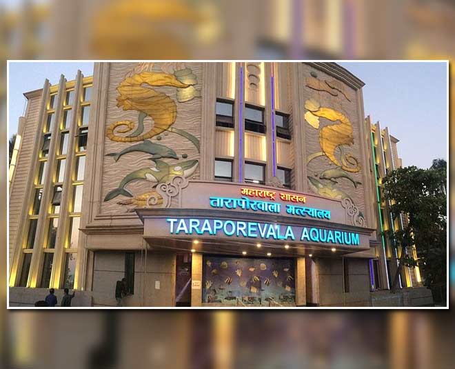 तारापोरवाला मछलीघर famous places to visit in mumbai with children inside
