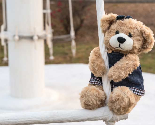 history of first teddy bear