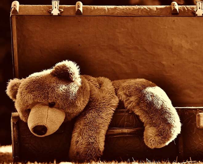 history of teddy bear