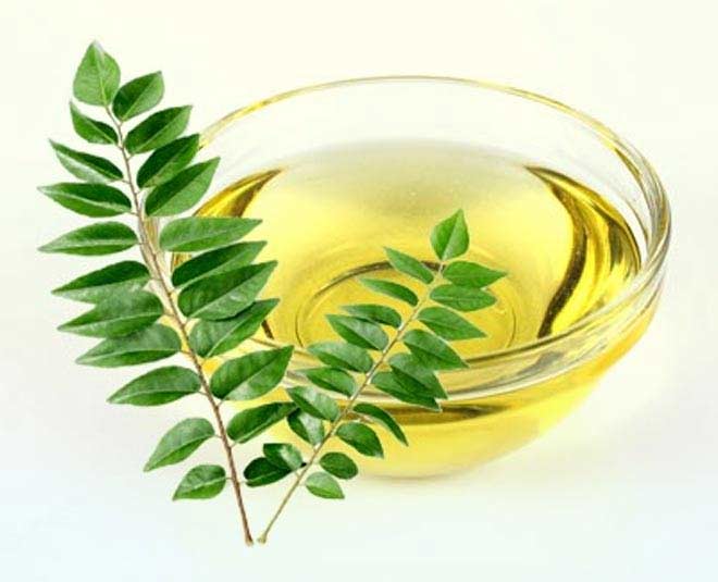 homemade curry leaves oil