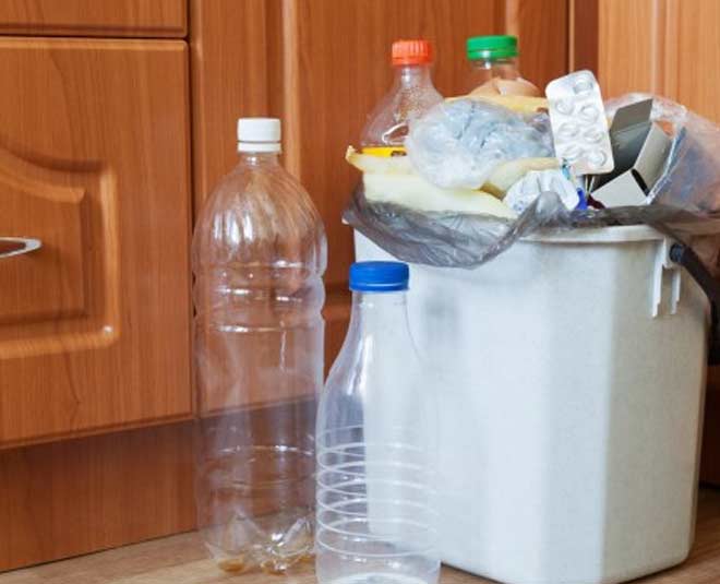 how to get rid of bugs from kitchen dustbin inside 