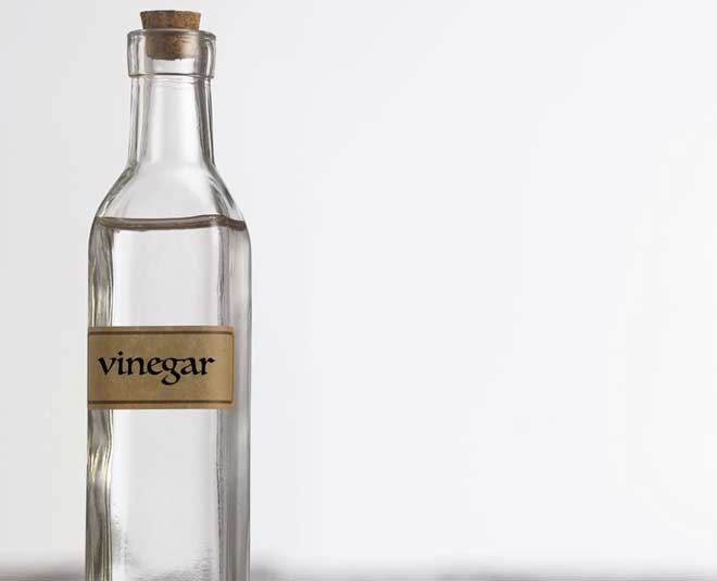 how to get rid of bugs from kitchen dustbin inside 