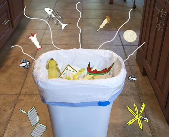 How To Get Rid Of Bugs From Kitchen Dustbin In Hindi how to get rid of bugs from kitchen