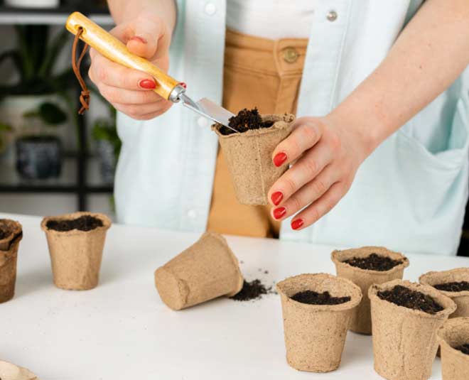 how to prepare soil for bamboo plant at home