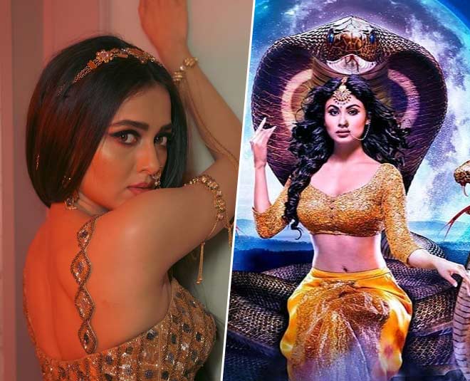 Naagin 5 season 5 episode online 15